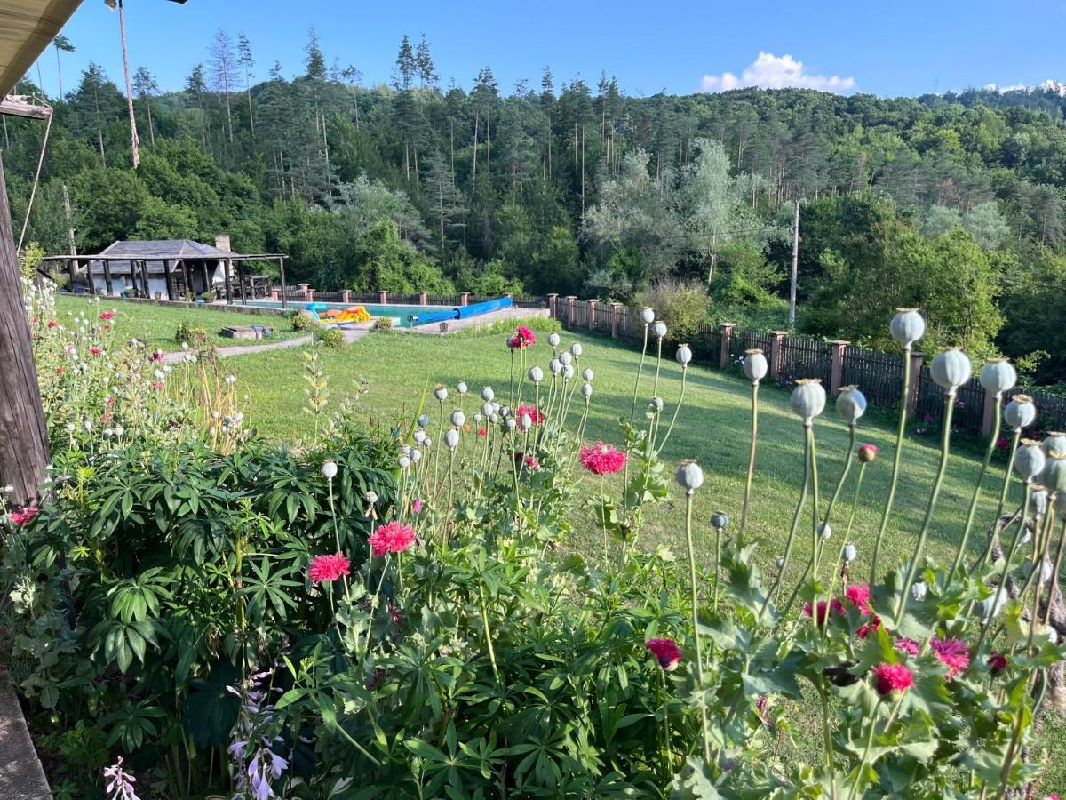 Agriturismo Hidden Paradise Villa Tryavna Luaran gambar