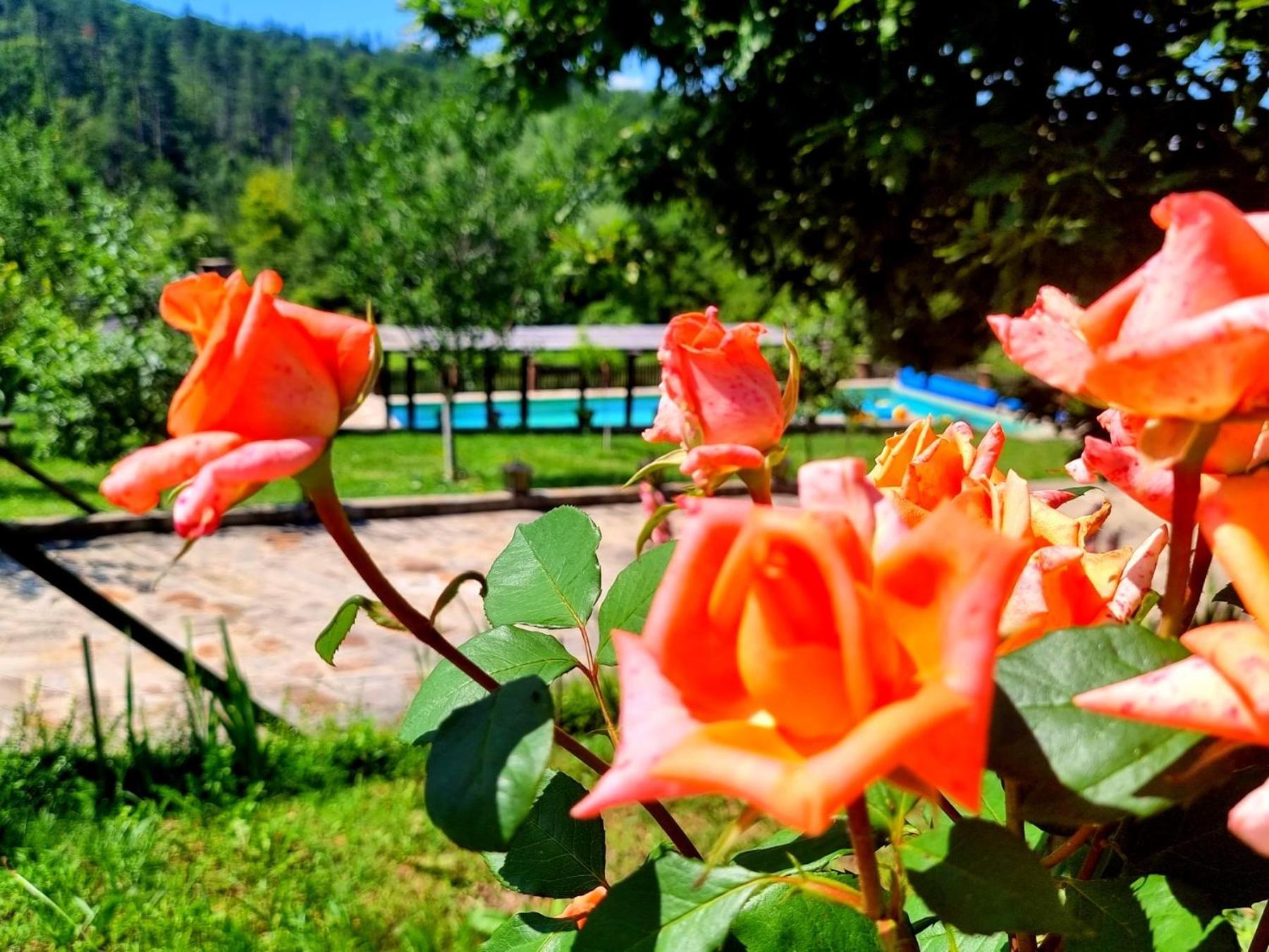 Agriturismo Hidden Paradise Villa Tryavna Luaran gambar