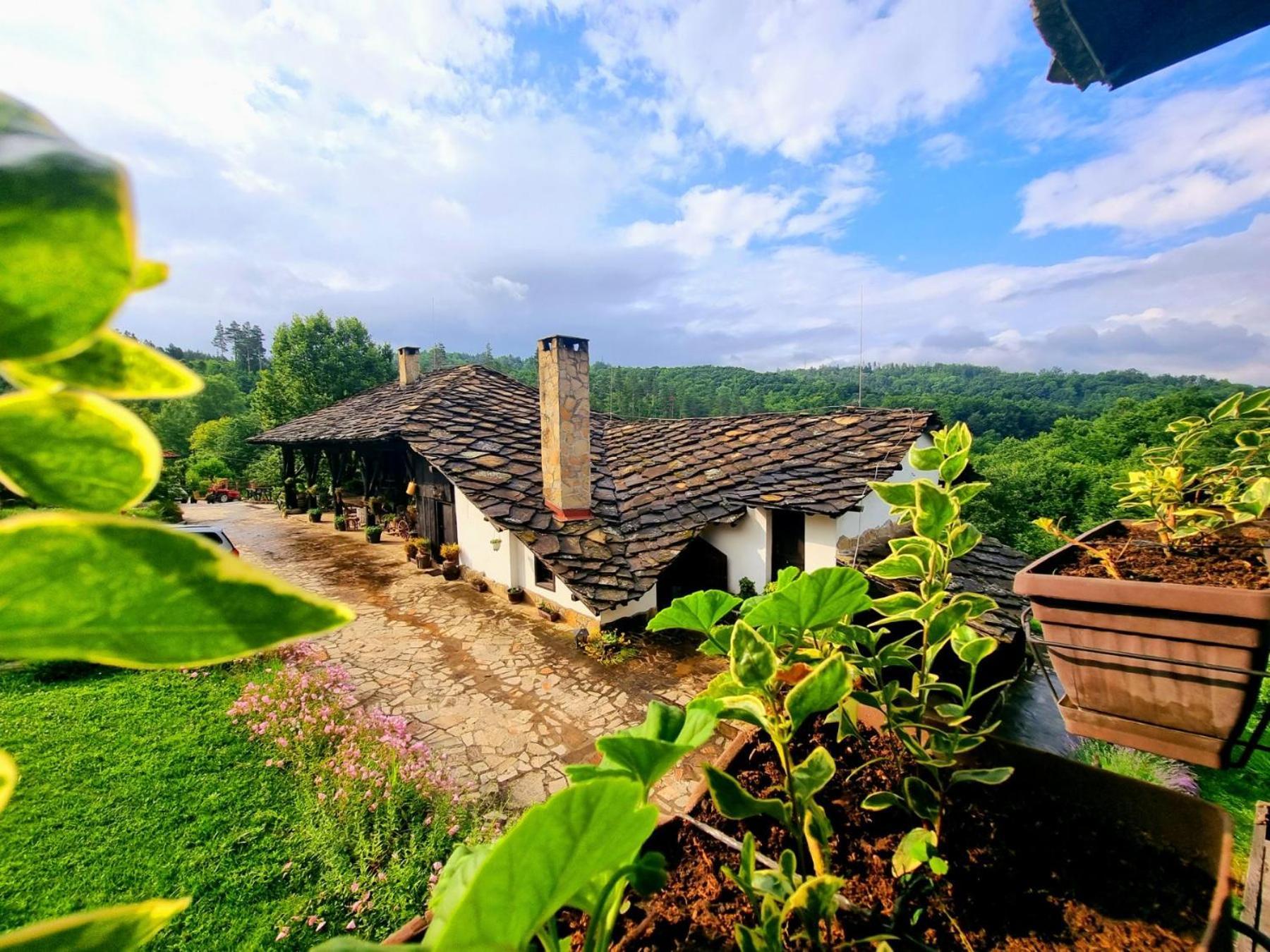 Agriturismo Hidden Paradise Villa Tryavna Luaran gambar