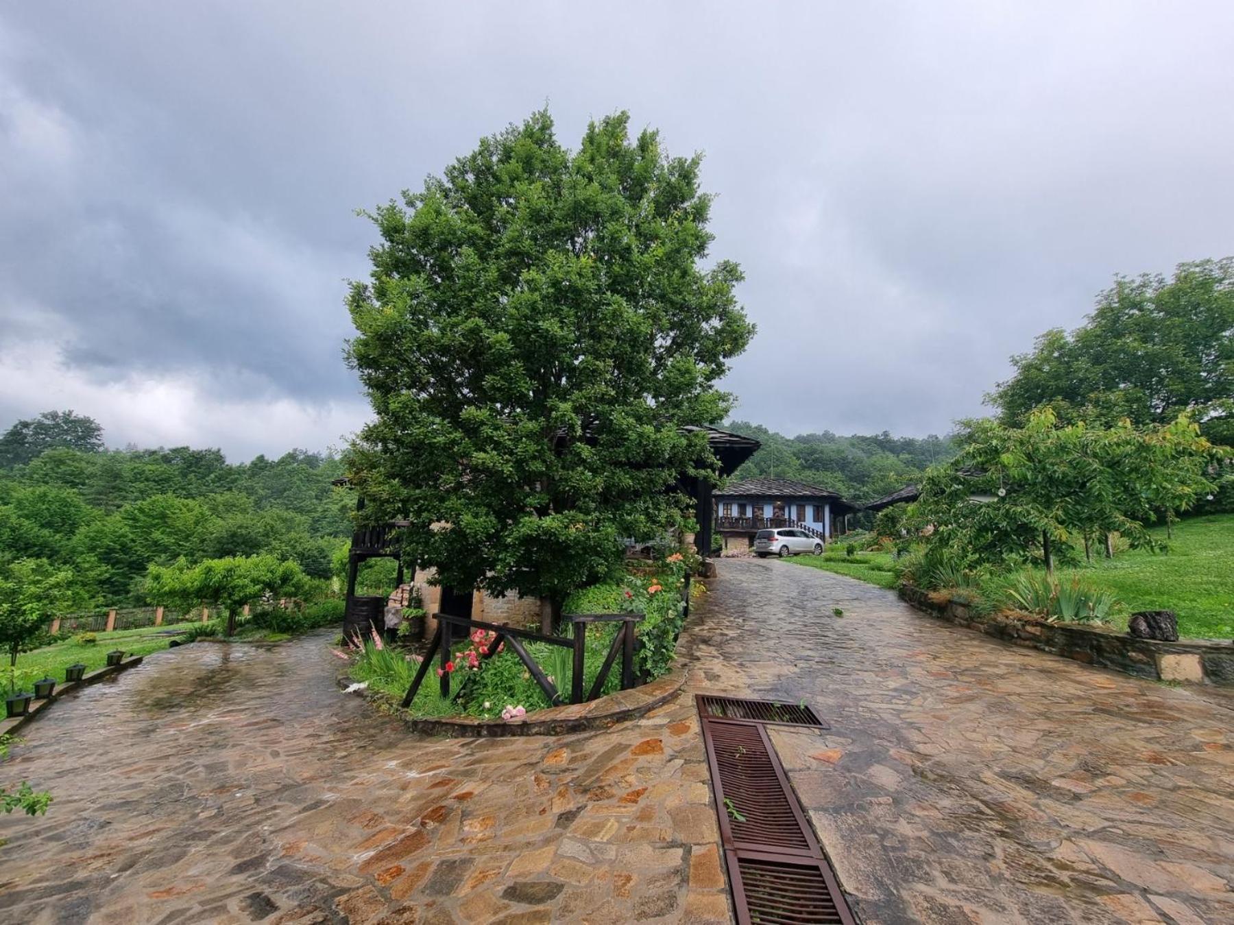 Agriturismo Hidden Paradise Villa Tryavna Luaran gambar