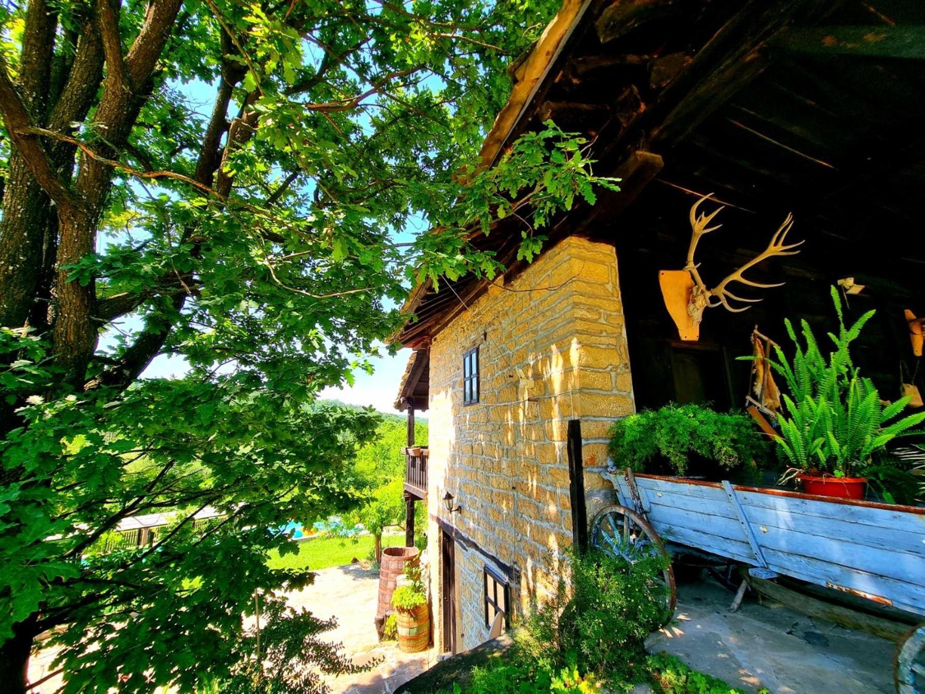 Agriturismo Hidden Paradise Villa Tryavna Luaran gambar